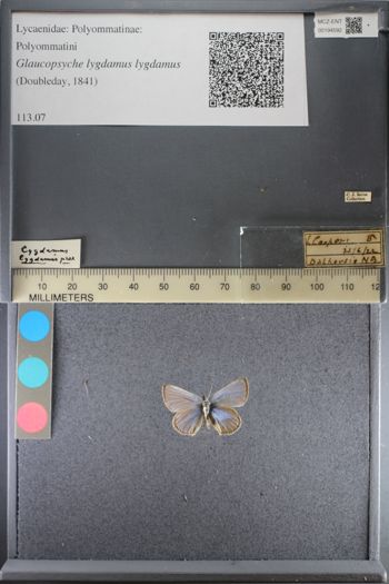 Media type: image;   Entomology 194592